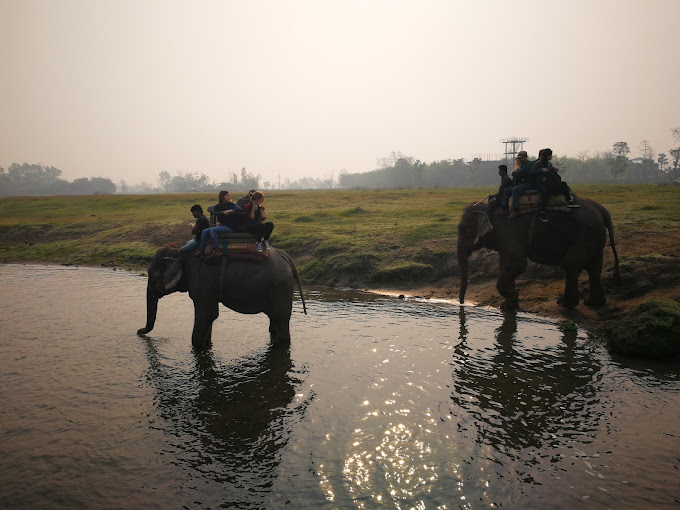 <span>Day 4 </span>Chitwan - Jungle Safari